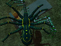 Spiders Adventures Act 1