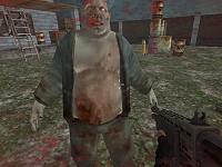 Special Strike Zombies