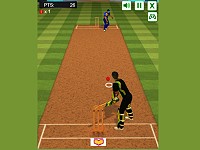 Cricket Batter Challenge