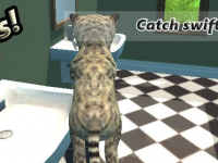 Cat Simulator : Kitty Craft